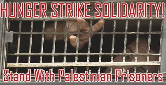 hunger-strike-solidarity.jpg
