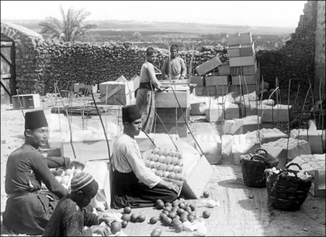 Jaffa 1912.jpg