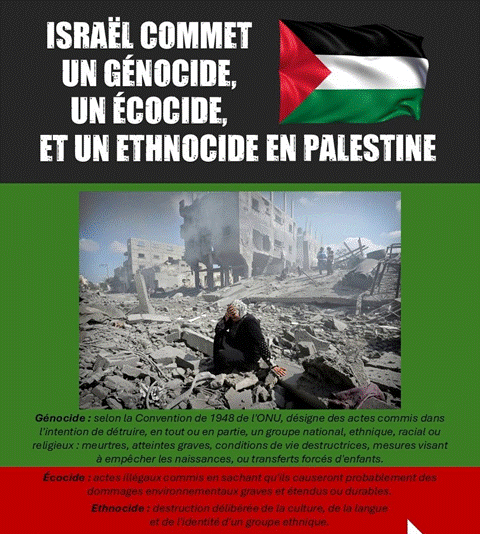 genocide.png